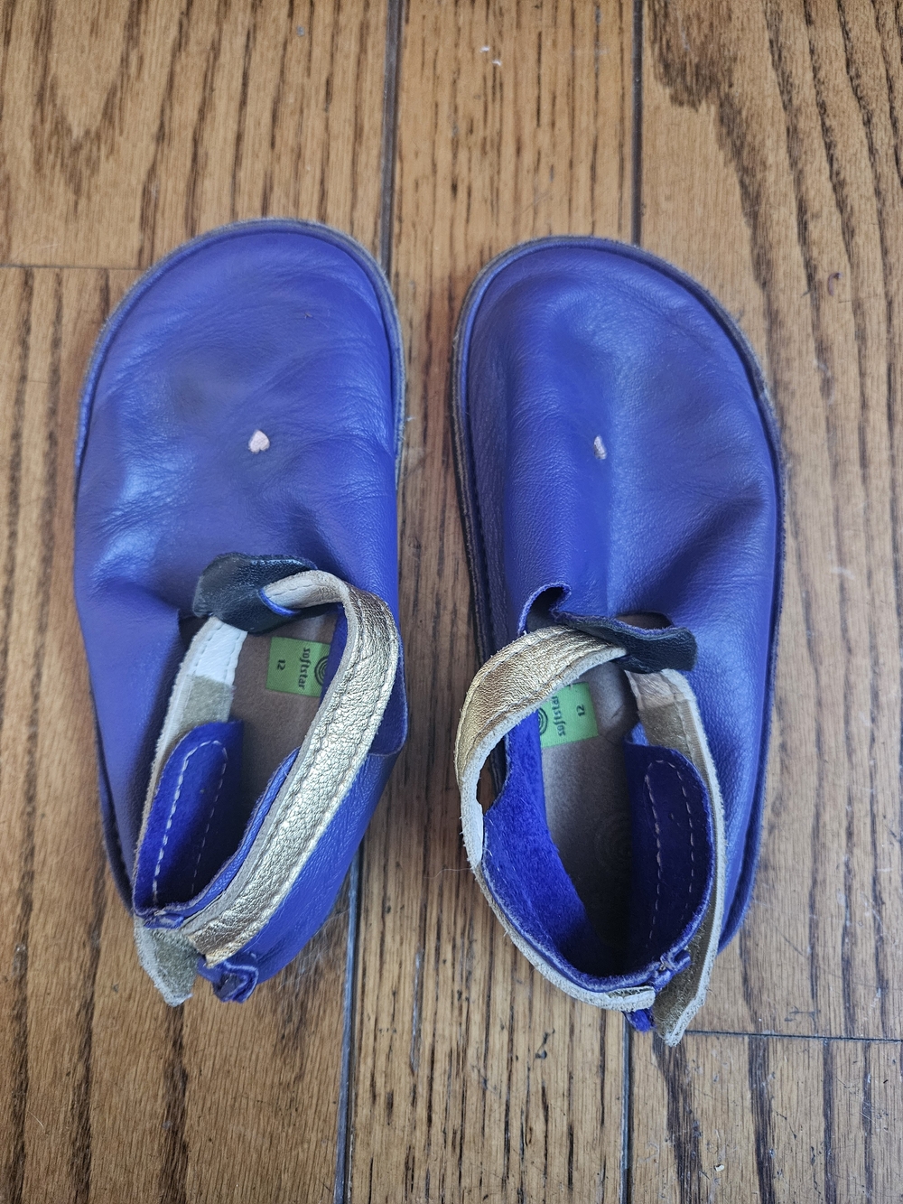 Soft Star Kids Purple Leather Summer Shoes Gold 12T Girl Toddler Softstar